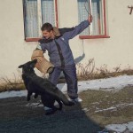psy_011