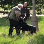 Du_4_15_0239