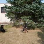 duna_soutez_005