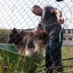 duna_soutez_015