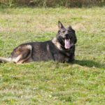 duna_soutez_026