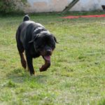 duna_soutez_062