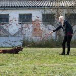 duna_soutez_081