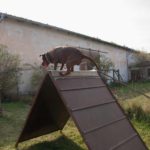 duna_soutez_096