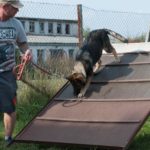 duna_soutez_166