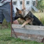 duna_soutez_167
