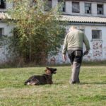 duna_soutez_199